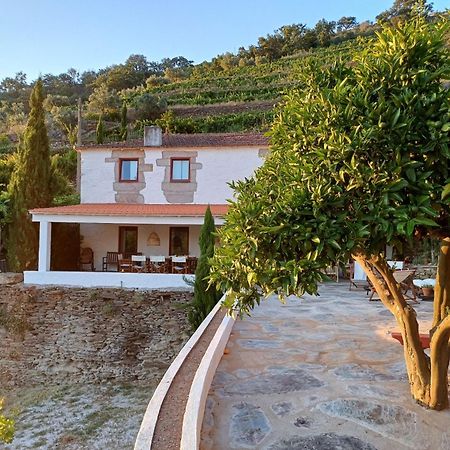Country House Quinta Da Salgueira Alijó Extérieur photo