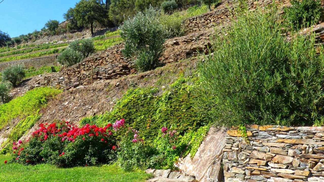 Country House Quinta Da Salgueira Alijó Extérieur photo