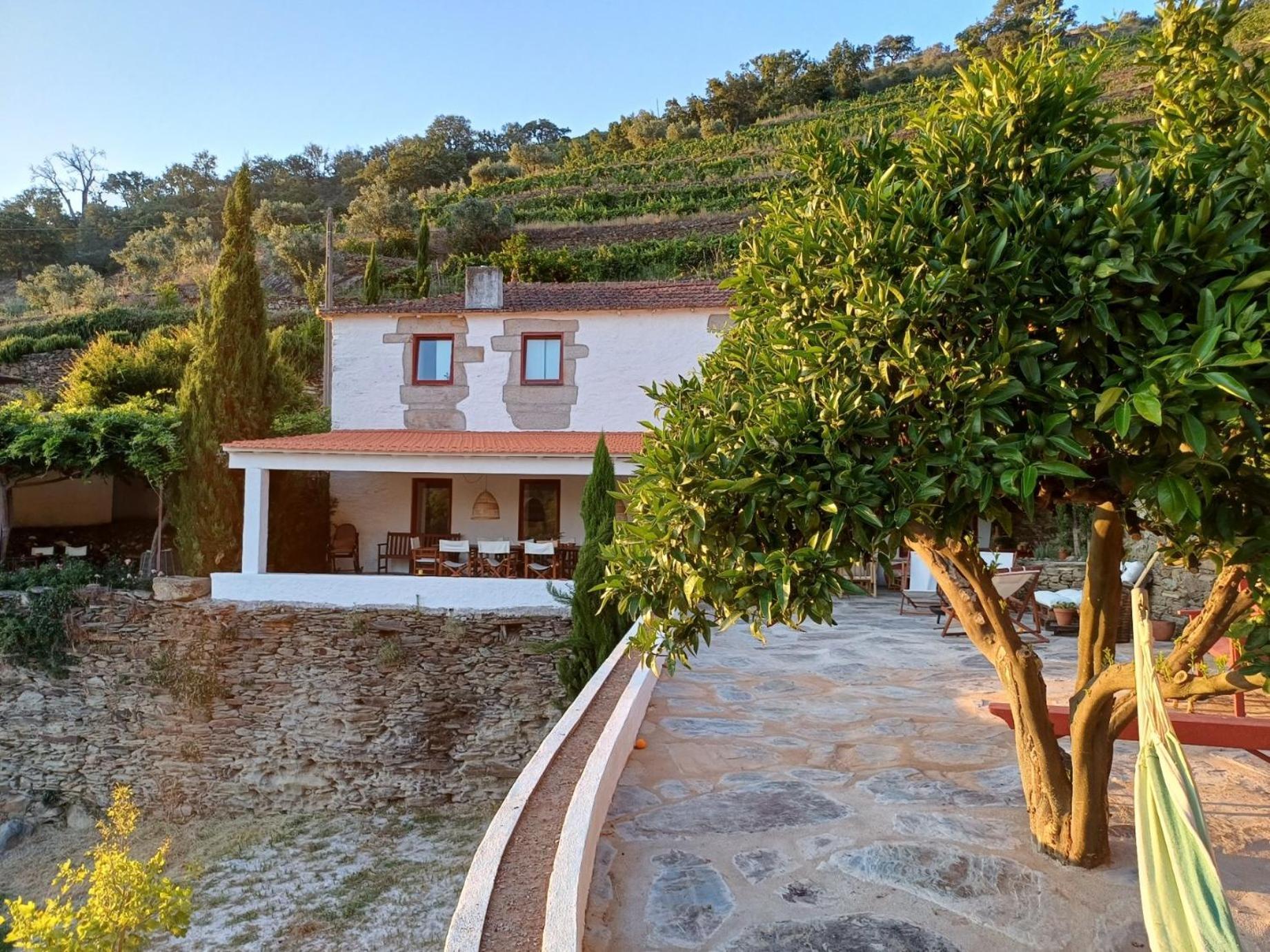 Country House Quinta Da Salgueira Alijó Extérieur photo